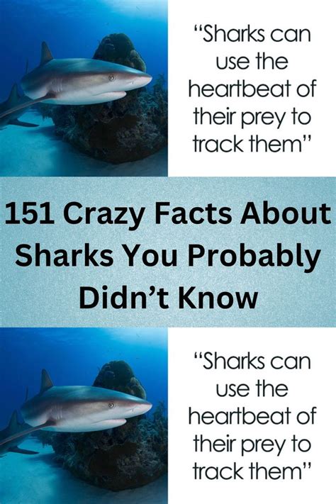 weird shark facts|151 Crazy Facts About Sharks You Probably Didn’t Know.